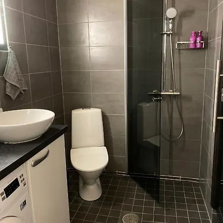 Semesterbostad Revontuli 6