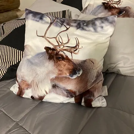 بيت للعطل Revontuli 6 Syöte