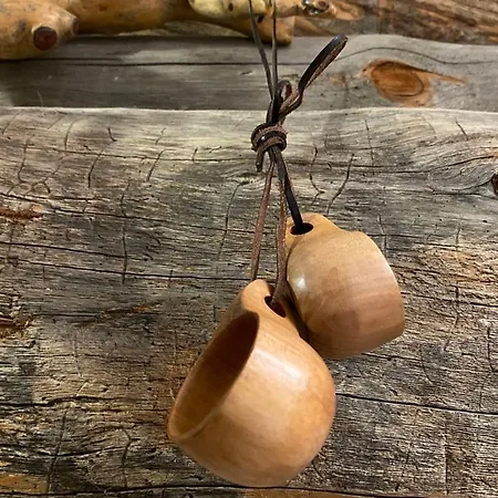 Revontuli 6 * Syöte