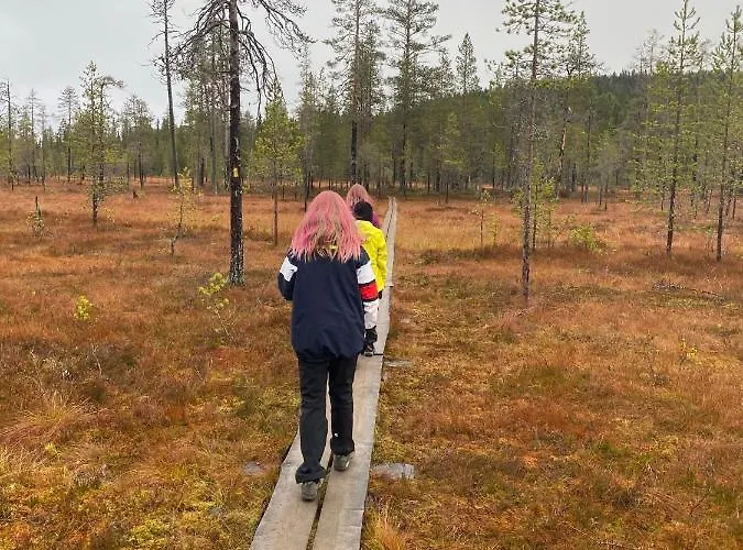 Revontuli 6 بيت للعطل *