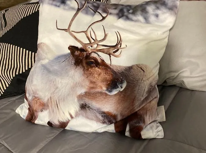 بيت للعطل Revontuli 6 Syöte