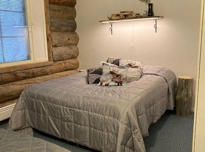 Revontuli 6 بيت للعطل